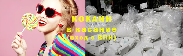 мдпв Богородицк