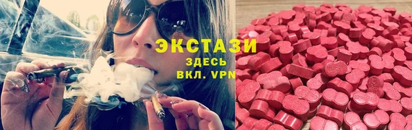 мдпв Богородицк