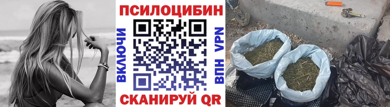 MEGA как зайти  Бугуруслан  Галлюциногенные грибы Psilocybine cubensis  купить наркотик 